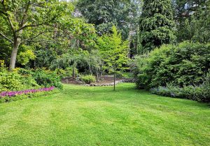 Optimiser l'expérience du jardin à Nanteau-sur-Lunain